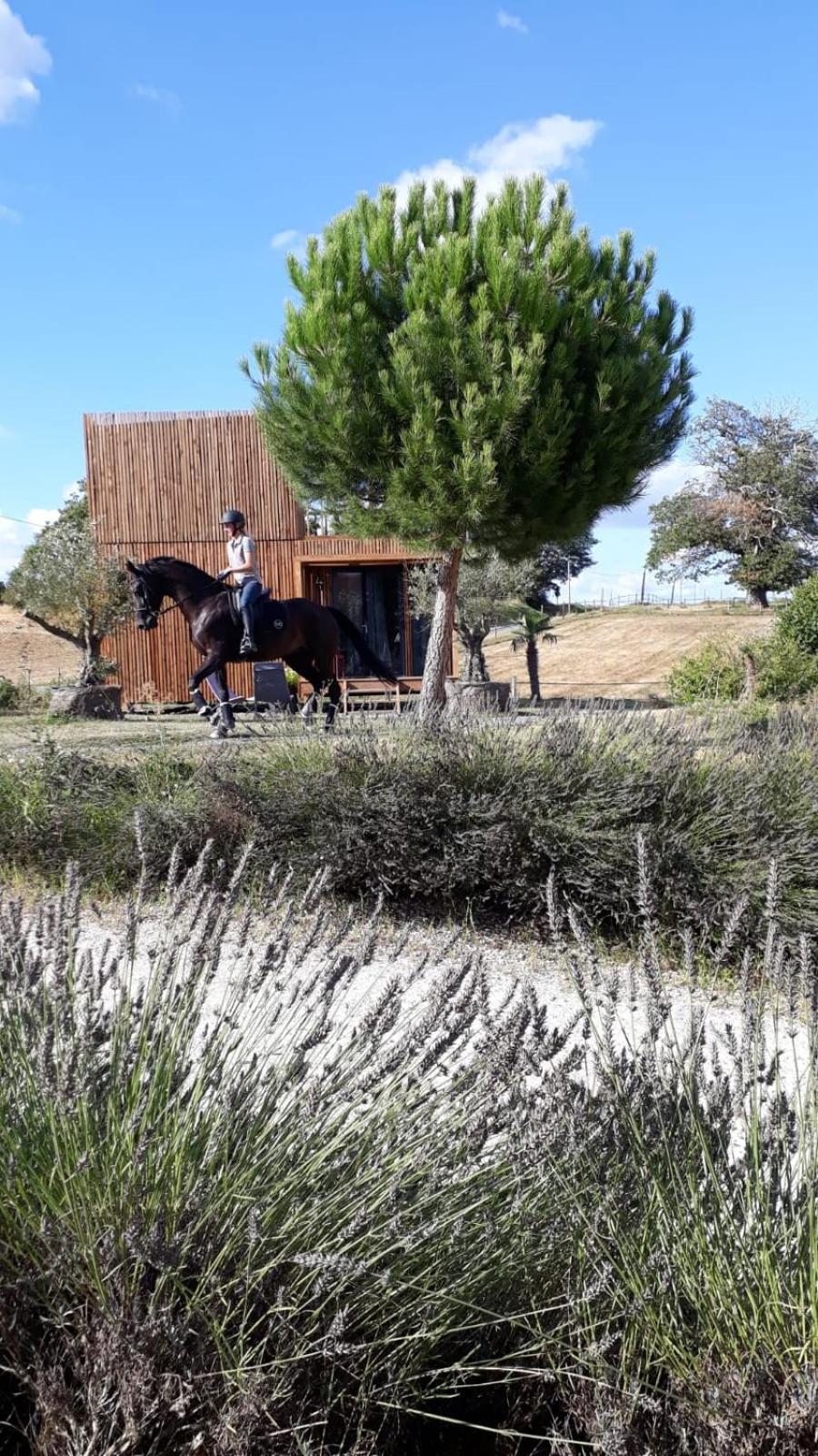 فيلا Manege De La Chapiniere - Dadaloge Tiny-House Châteauvieux المظهر الخارجي الصورة